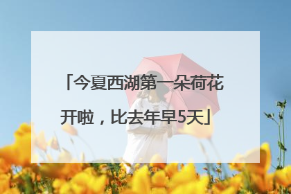 今夏西湖第一朵荷花开啦，比去年早5天